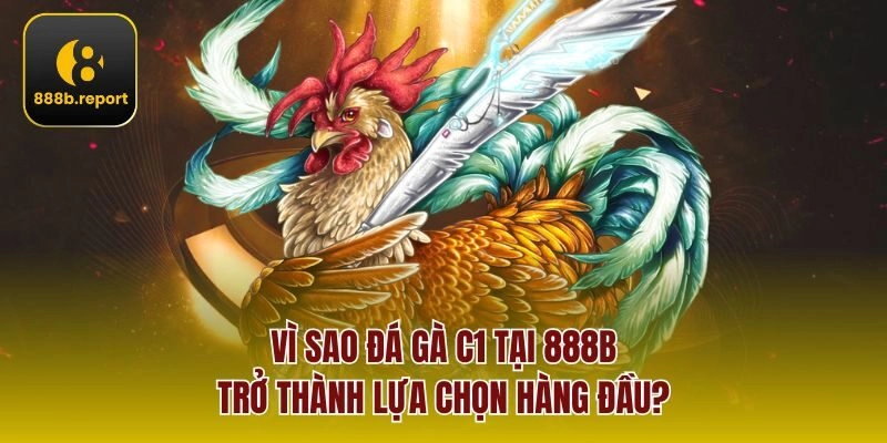 Vì sao đá gà C1 tại 888b trở thành lựa chọn hàng đầu?